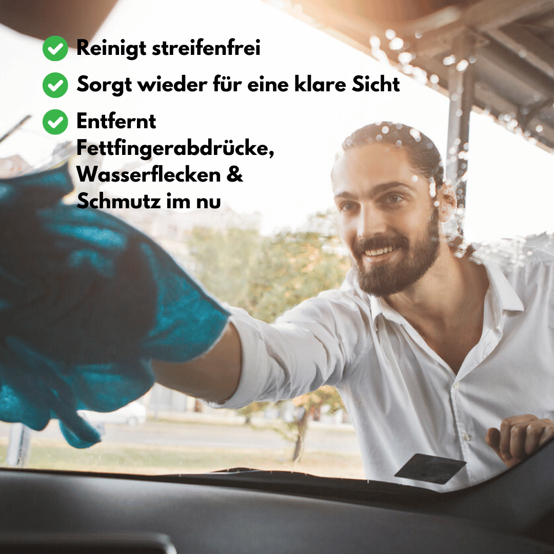 biocar Glasreiniger - 500 ml 